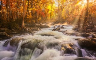 Картинка природа, реки, осень, лес, река, озера