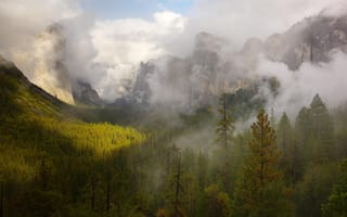 Картинка природа, горы, леса, туман