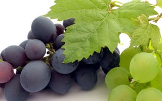 Картинка еда, виноград, макро, грозди