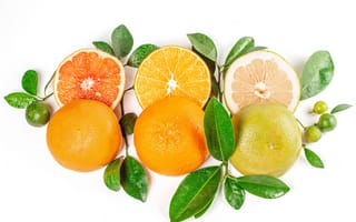Картинка еда, фрукты, цитрусовые, грейпфрут, лимоны, апельсин, ягоды, ветки