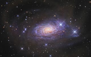 Картинка 5055, галактика, подсолнух, космос, галактики, туманности