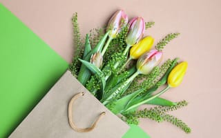 Картинка цветы, тюльпаны, пакет