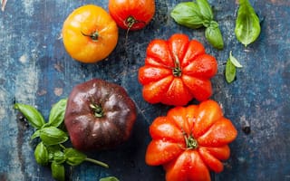 Картинка еда, помидоры, томаты, базилик, ассорти