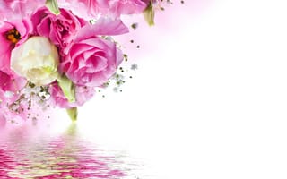 Картинка цветы, розы