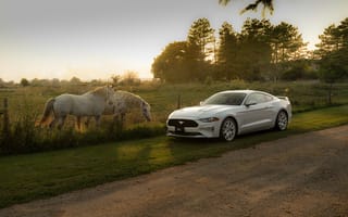 Картинка автомобили, mustang