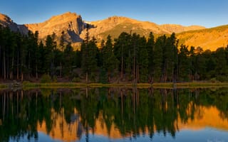 Картинка природа, реки, лес, озера