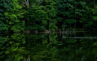 Картинка природа, реки, озеро, озера
