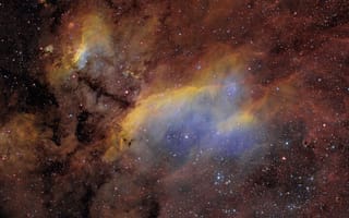 Картинка 4628, туманность, креветка, космос, галактики, туманности