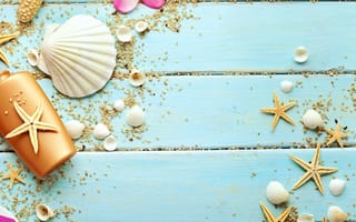 Картинка plumeria, лето, дерево, песок, морской, морская звезда, ракушки