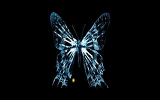 Картинка бабочки