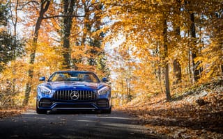 Картинка mercedes, машины, мерседес