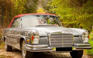 Картинка mercedes, машины, авто, мерседес, винтаж, классика, бенц, мерс