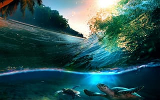 Картинка tropicale sun, море, пляж, солнце, волна, волны, естественные, черепаха, черепахи