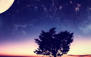 Картинка tree planet, дерево, солнце, планета