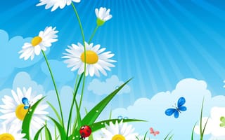 Картинка белые, лето, божья коровка, ромашки