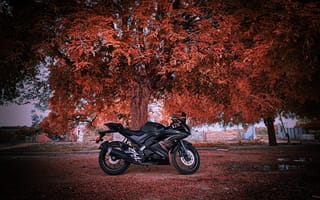 Картинка buddy, prasanth rc, r15 v3
