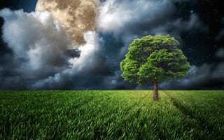 Картинка ночь, луна, дерево, трава, поле