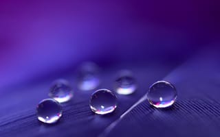 Картинка water droplets, фиолетовые, вода, капли