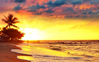 Картинка palm tree sunset, rolling waves, tropical sunset, shining dreams, закат, дерево, тропические, волны, пальмы, мечты, сияющие
