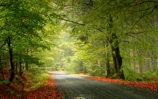 Картинка the road to infinity, природа, дорога, бесконечность, спокойствие