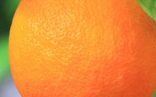 Картинка оранжевые, фрукты