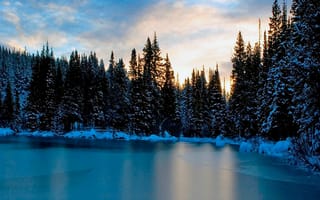 Картинка природа