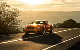 Картинка ford, mustang, машины, дорога, солнце, форд, мустанг