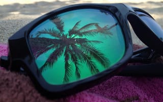 Картинка пальмы