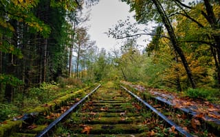 Картинка railroad railway, железная дорога