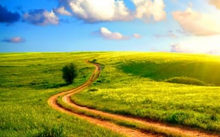 Картинка 2160x1920, nature pathway, природа