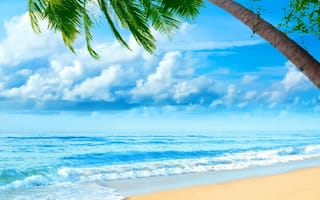 Картинка vacacion, небо, море, пляж, океан, пальмы