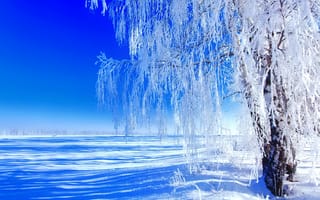 Картинка winter landscape, пейзаж, зима