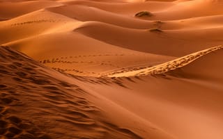 Картинка dune, песок, поле, пустыня