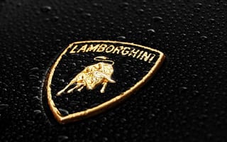 Картинка lamborghini, черные, ламборгини