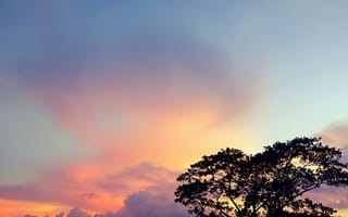 Картинка bangladesh tour, bangladeshi sky, evening time sky, love, rajukhann, sunset bnagladesh, любовь, синие, небо, закат, время, вечер, бангладеш, тур