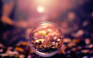 Картинка шары, полет