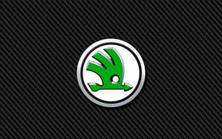 Картинка skoda, skoda carbon, логотипы, карбон, эмблемы, значок