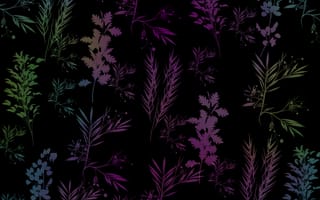 Картинка grass grass 8, абстрактные, природа, трава