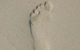 Картинка foot stamp, пляж, песок