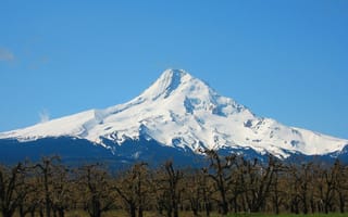 Картинка небо, зима, снег, горы, деревья, трава