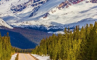 Картинка 4k, hd, alberta canada, канада