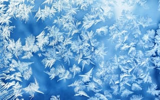 Картинка природа, стекло, лед, холод