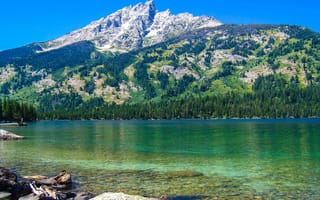 Картинка зеленые, вода, деревья, озеро, горы