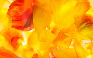 Картинка galaxy, gs5, s5, samsung, абстрактные, галактика, самсунг