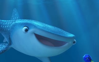 Картинка finding dory, рыба, акула, немо, дори