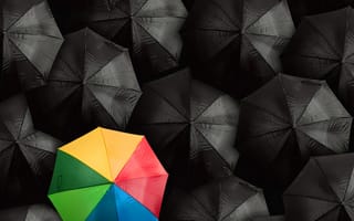 Картинка dare, абстрактные, черные, красочные, будь, другой, зонтики