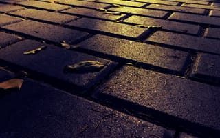 Картинка 2160x1920, bricks path, путь, кирпичи