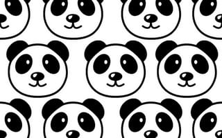 Картинка pandas, черные, белые, время, панда, коллаж