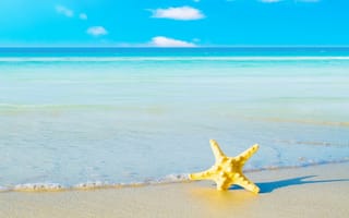 Картинка golden sand, starfish on the sand, пляж, золотые, песок, морская звезда