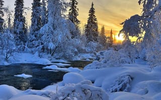 Картинка природа, пейзаж, зима, снег, холодное